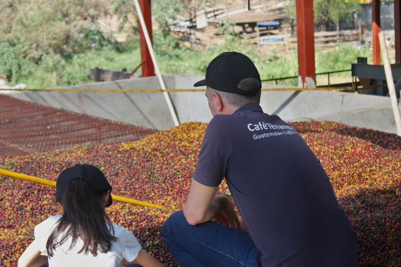 Sourcing café Guatemala