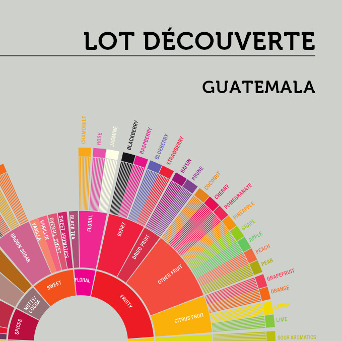 Lot café découverte Guatemala