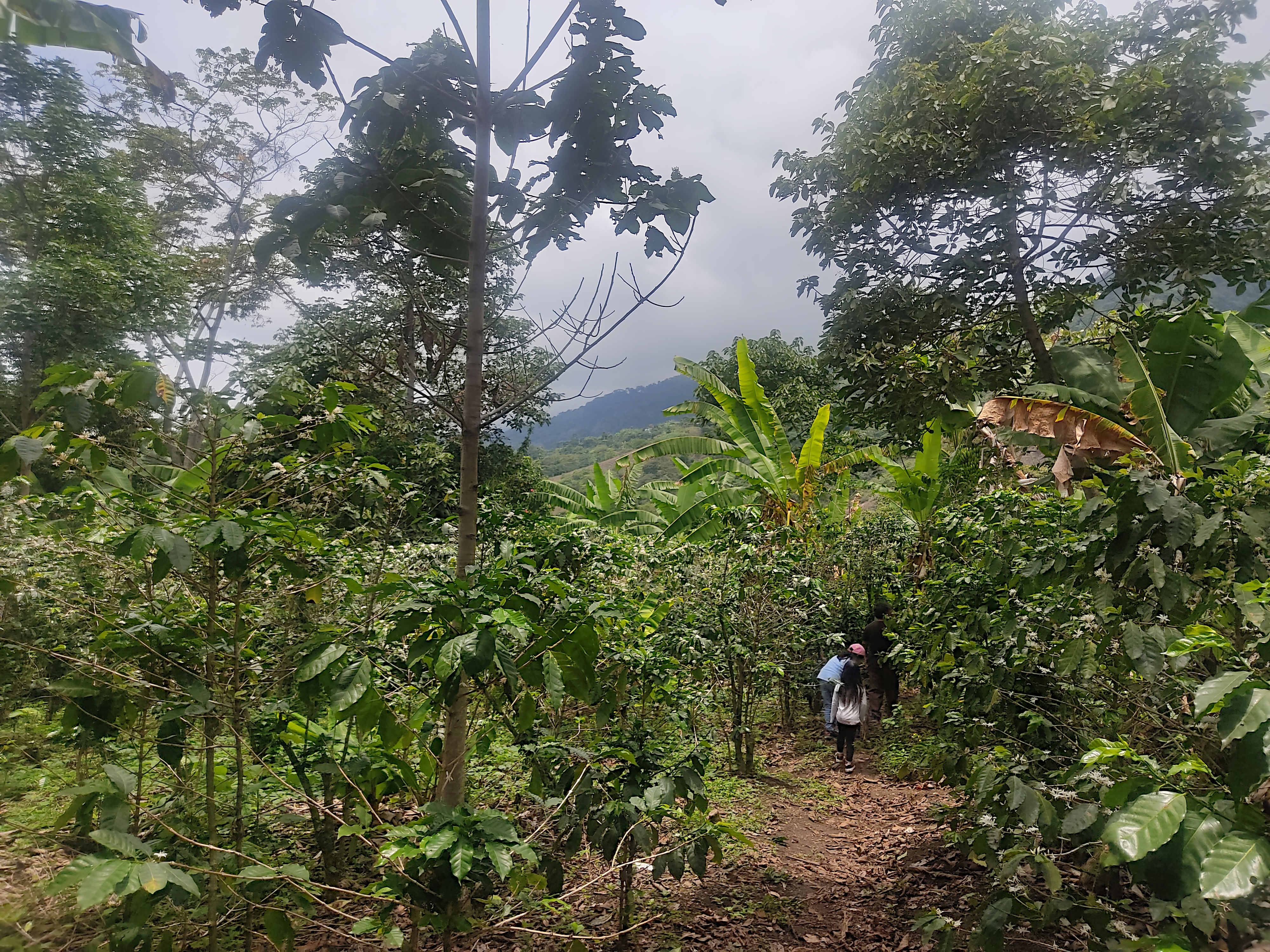 San Miguelito Atitlan