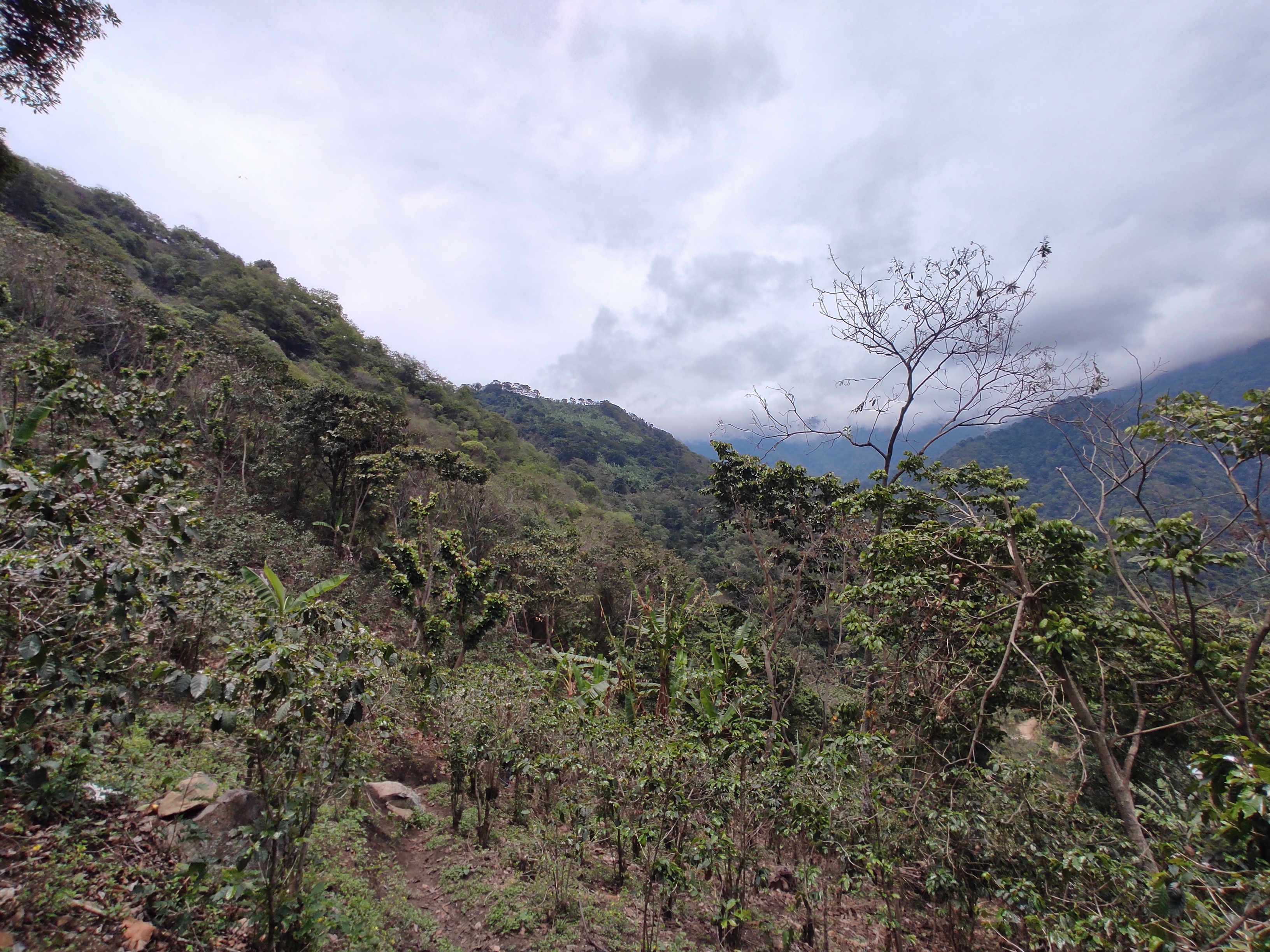 San Miguelito Atitlan