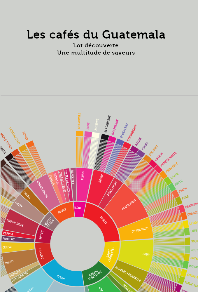 Flavor Wheel coffee