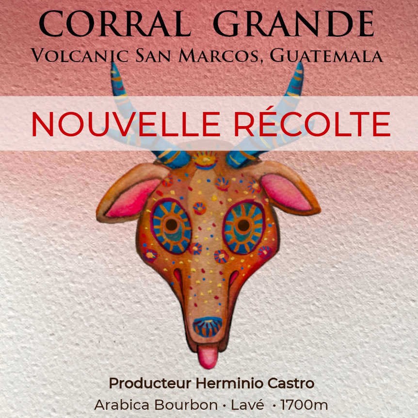 Café Corral Grande Guatemala