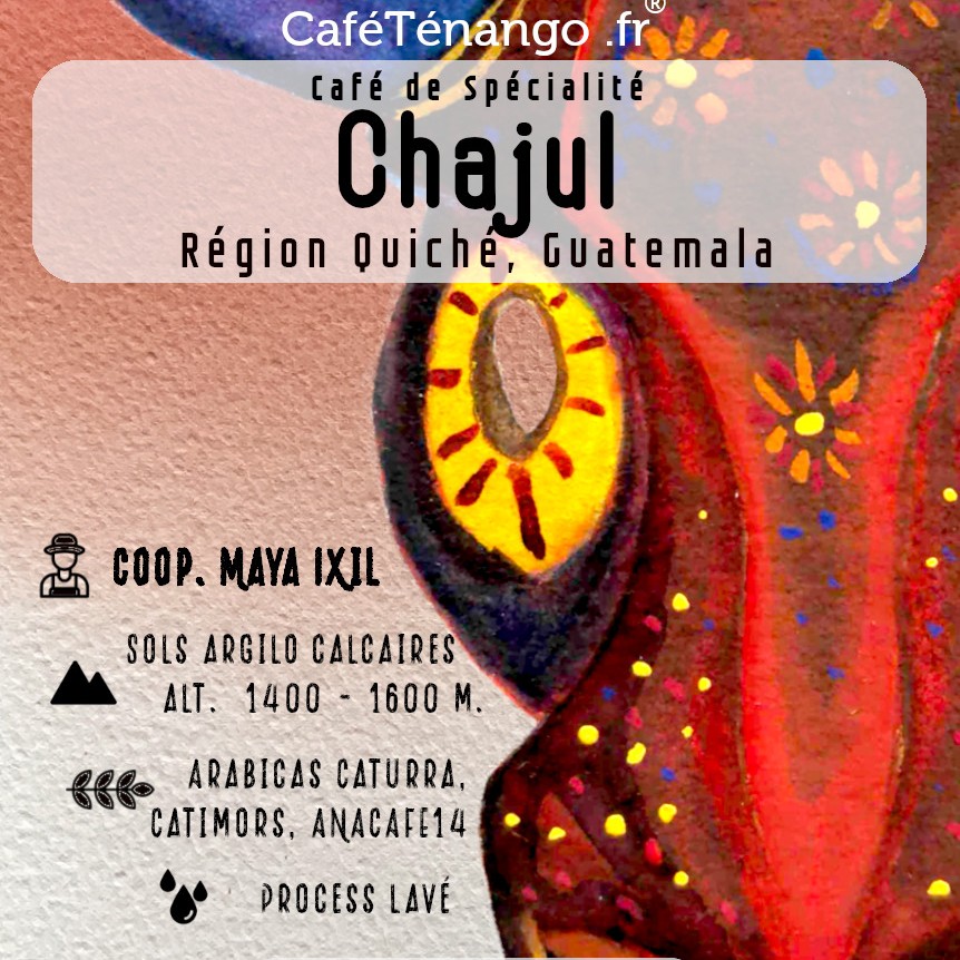 Café intense Chajul Guatemala