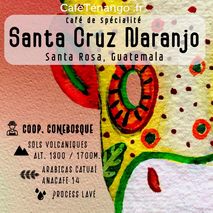 Café SANTA CRUZ