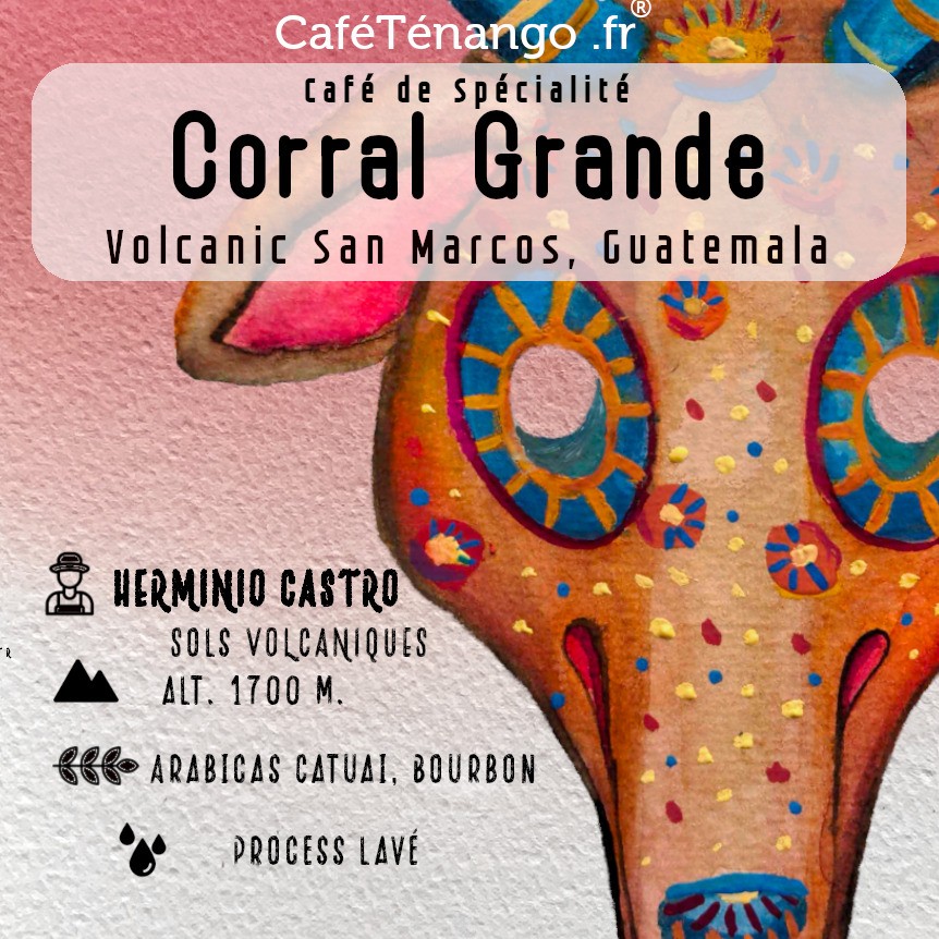 Café Corral Grande Guatemala