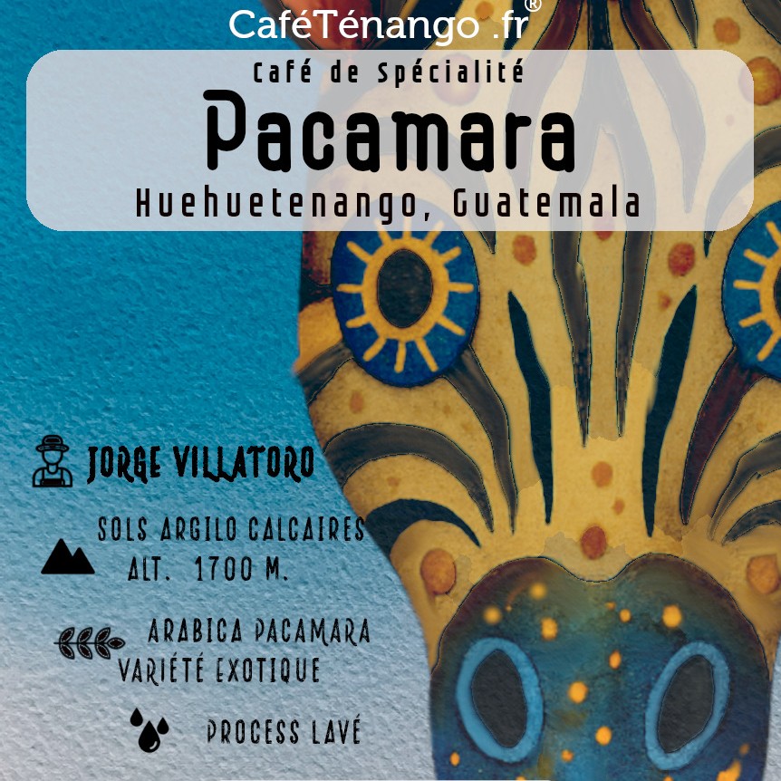 Café PACAMARA